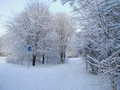 winter_2005/P3030049s.jpg